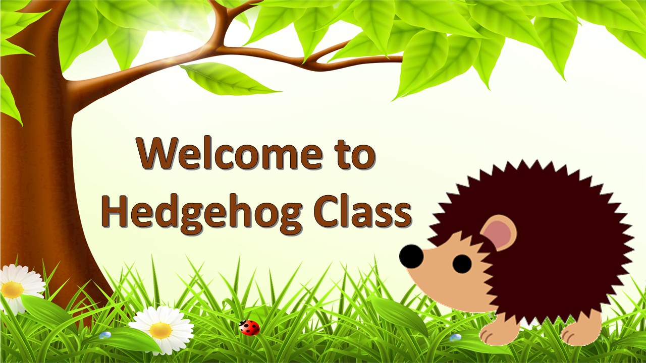 Spring Season 2021: Google welcomes first day of Spring with an animated  hedgehog