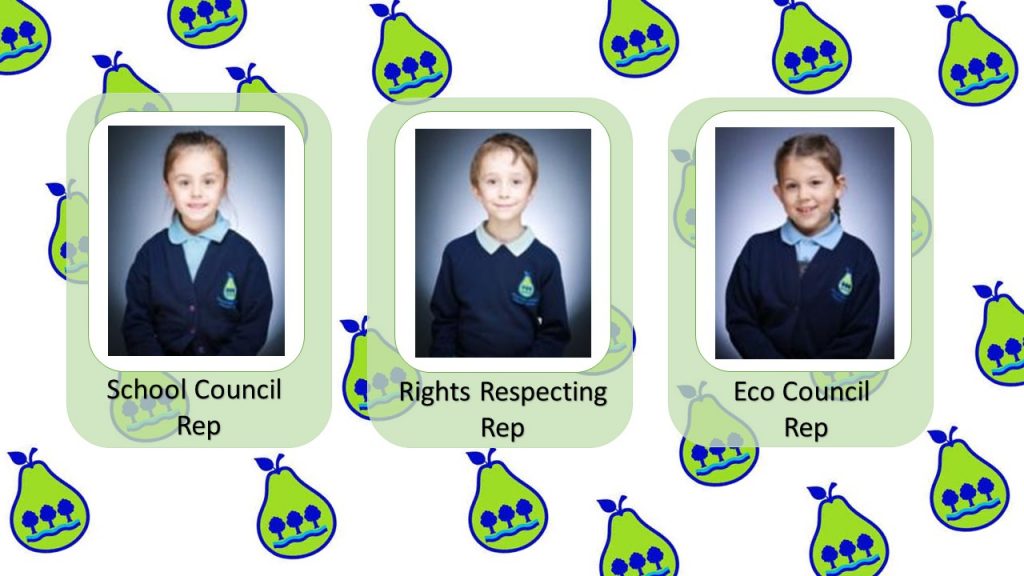 Rainforest Class 2223 Peartree Spring Primary School